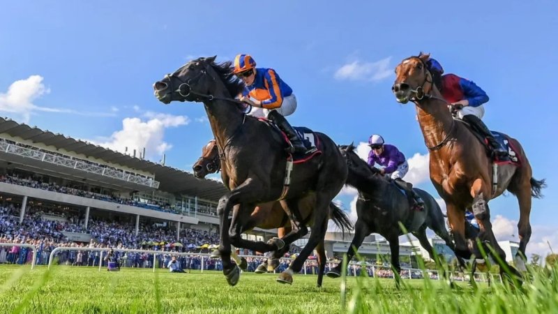 Celebrity Jockeys’ Social Media Strategy: A Success Story in Personal Branding