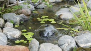 Modern Pond Systems
