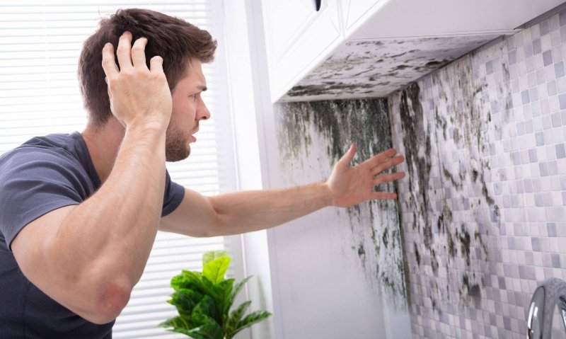 A Homeowner’s Guide to Mold Remediation in Middletown, PA
