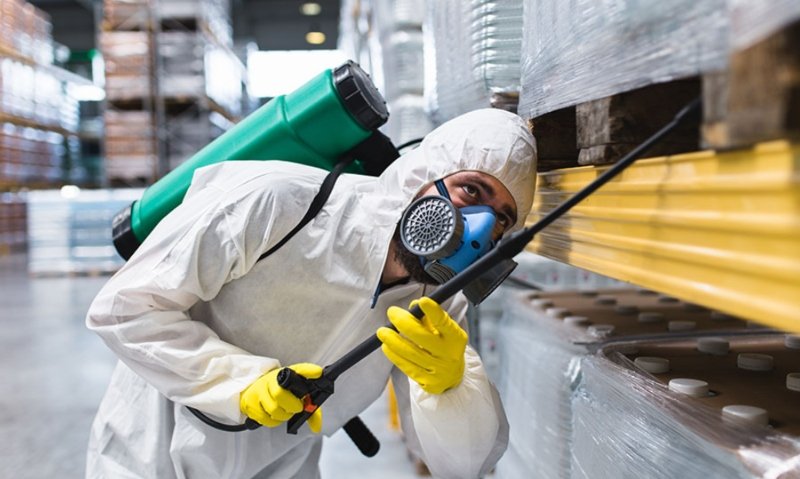 Is Pest Control a Dying Industry? Why It’s Actually Evolving Faster Than Ever